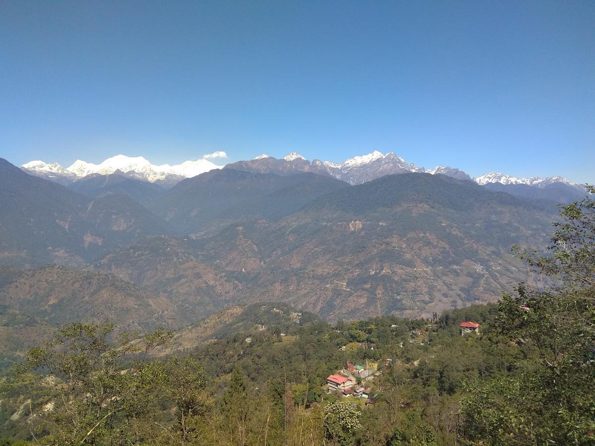 The Ace Pine Valley Hotel Pelling