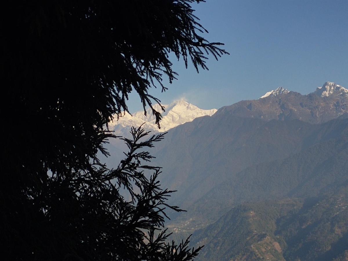 De Regency 3* Pelling