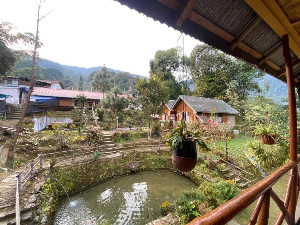 Homestay Odyssey Darap