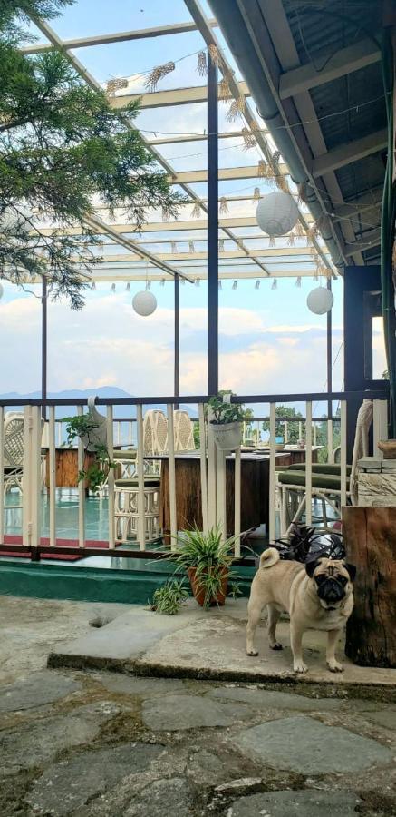 The Nettle And Fern Hotel