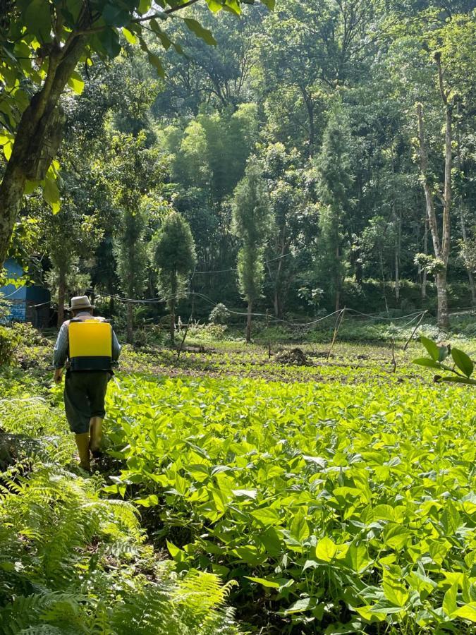 Khimsha Homestay Pelling