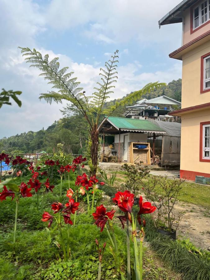 Lodge Ifseen Pelling