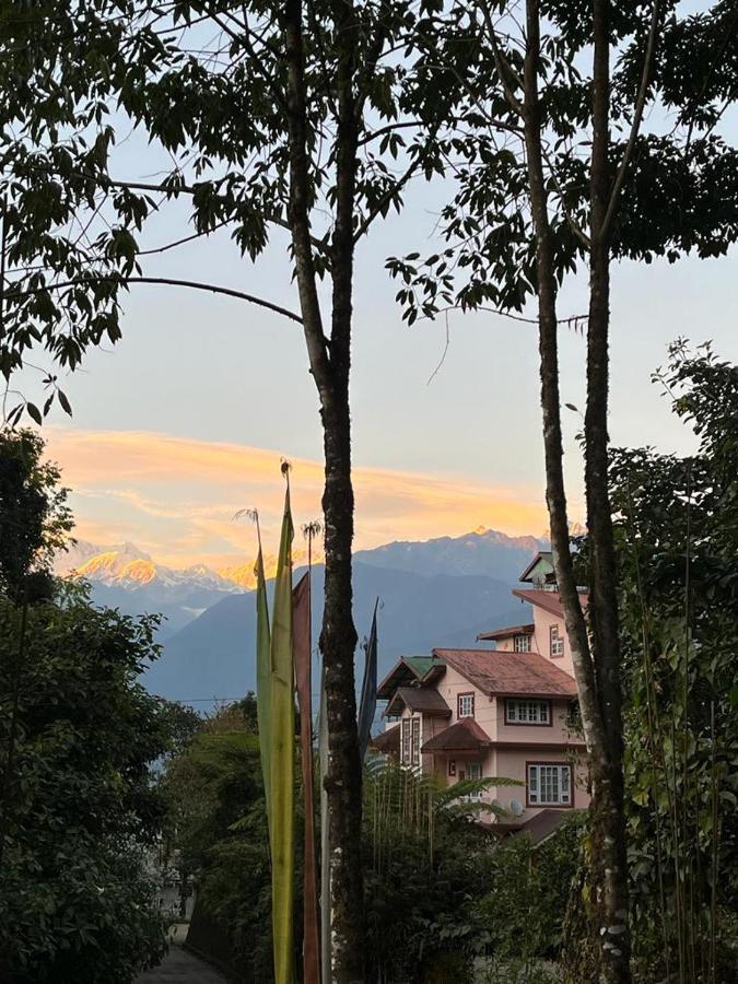 Ifseen Pelling