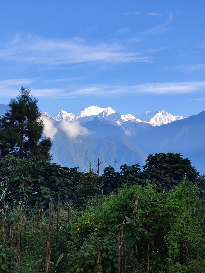 Wake In Himalayas Hostel *