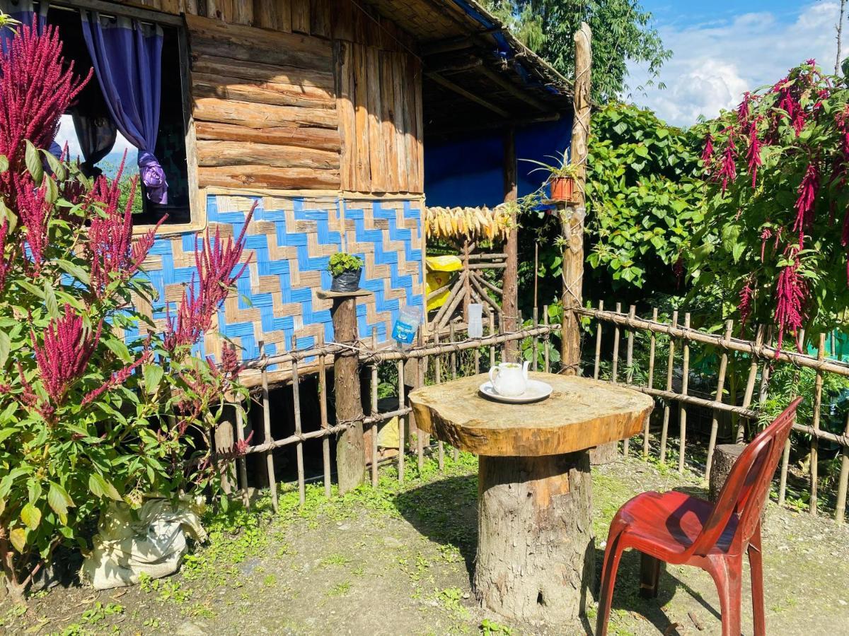 Homestay - Zivaan *