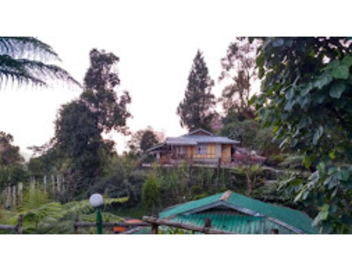 Lamthang Eco Hut Resort, Hotel Pelling