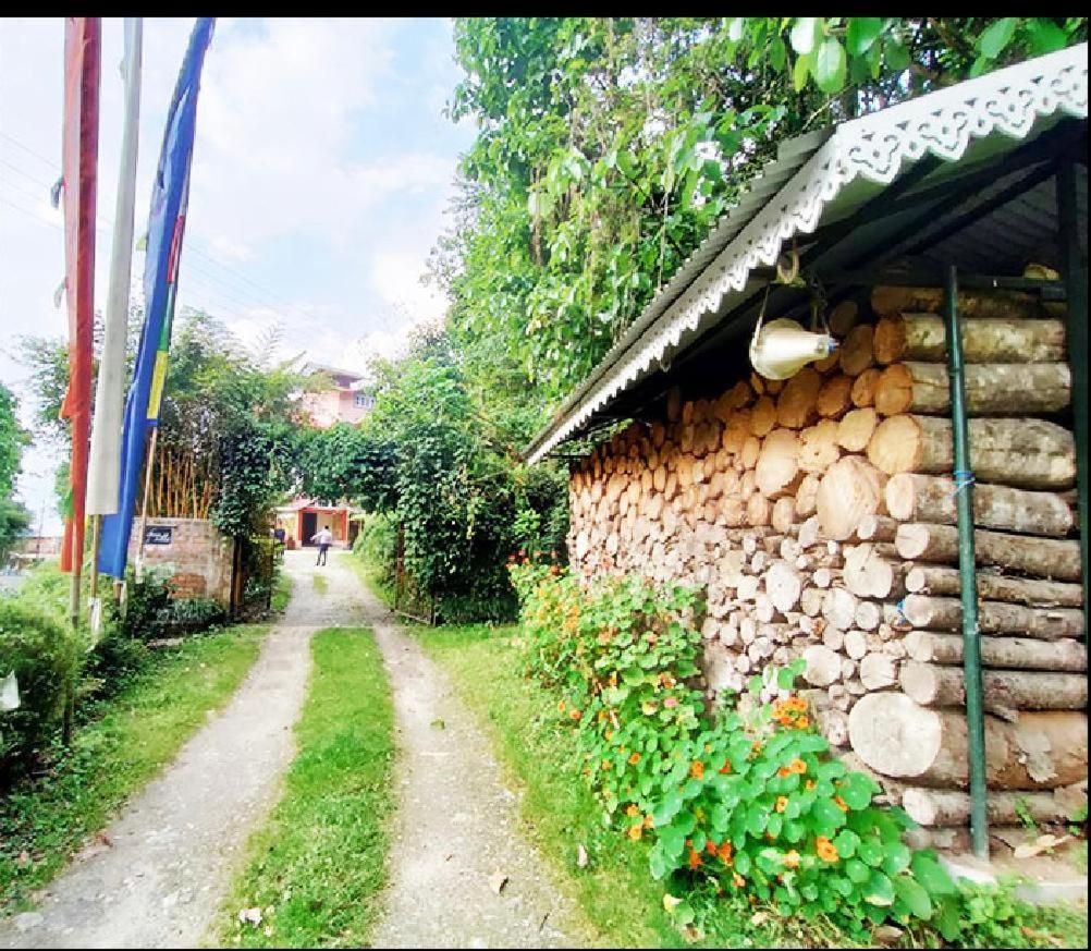 Ifseen Lodge *