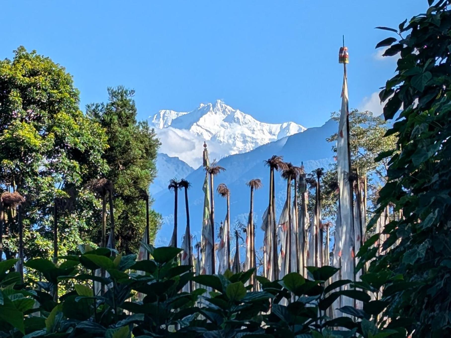 Mochilero 2, Homestay
