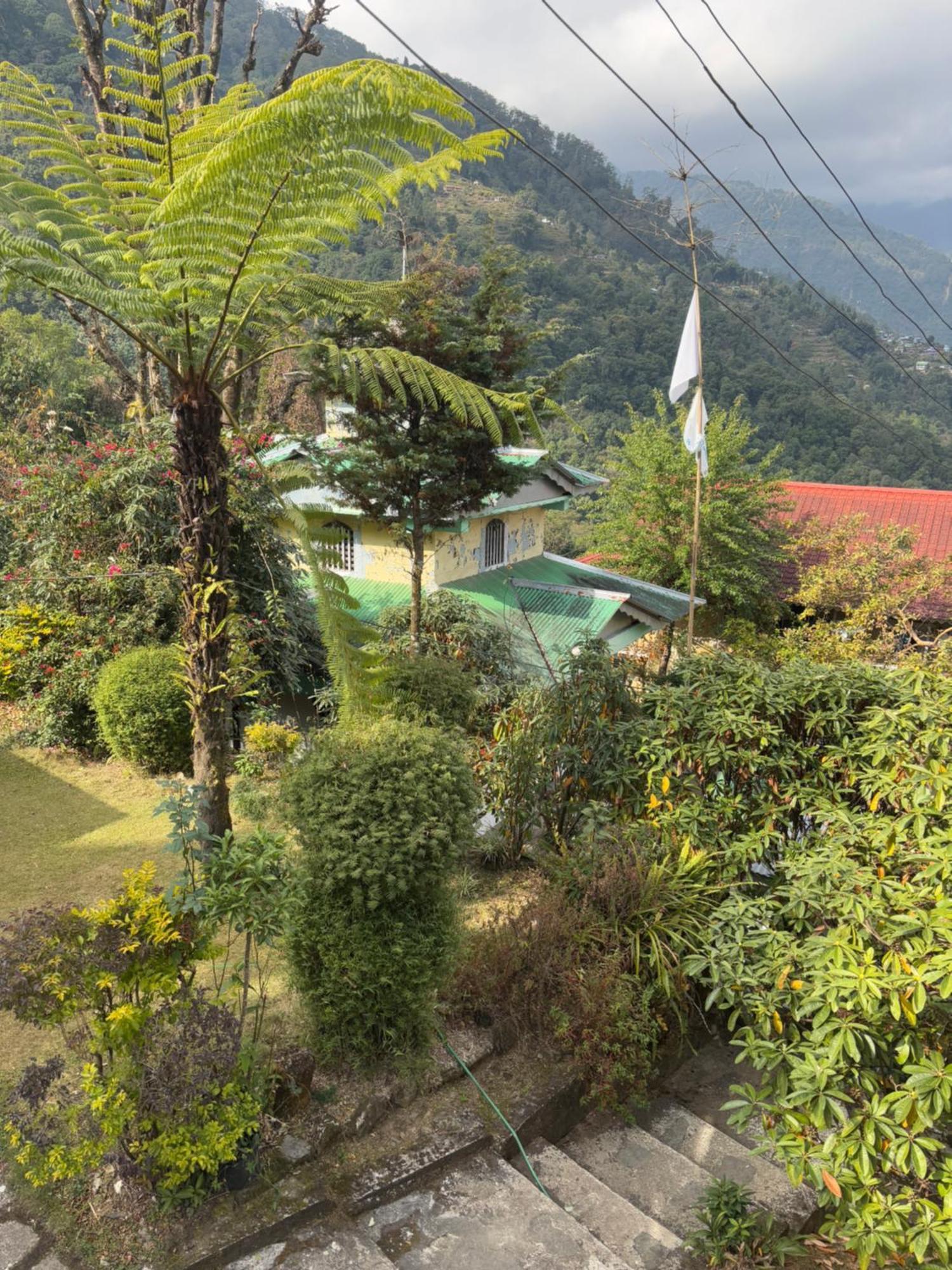 Odyssey's Darap Eco Retreat Homestay