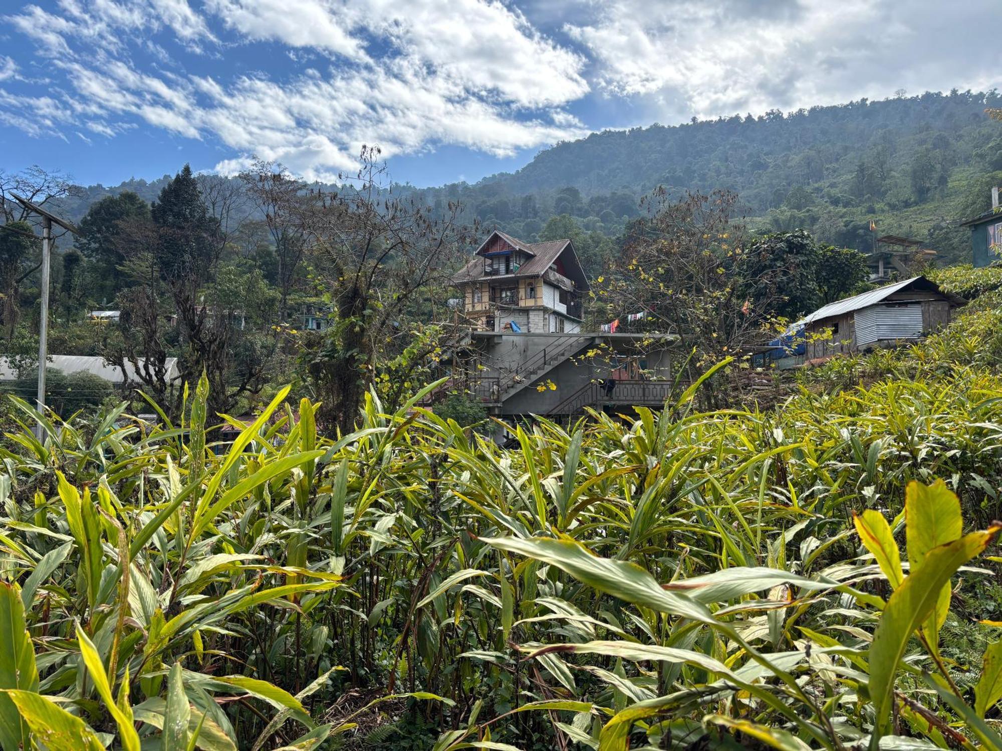 Homestay Odyssey's Darap Eco Retreat