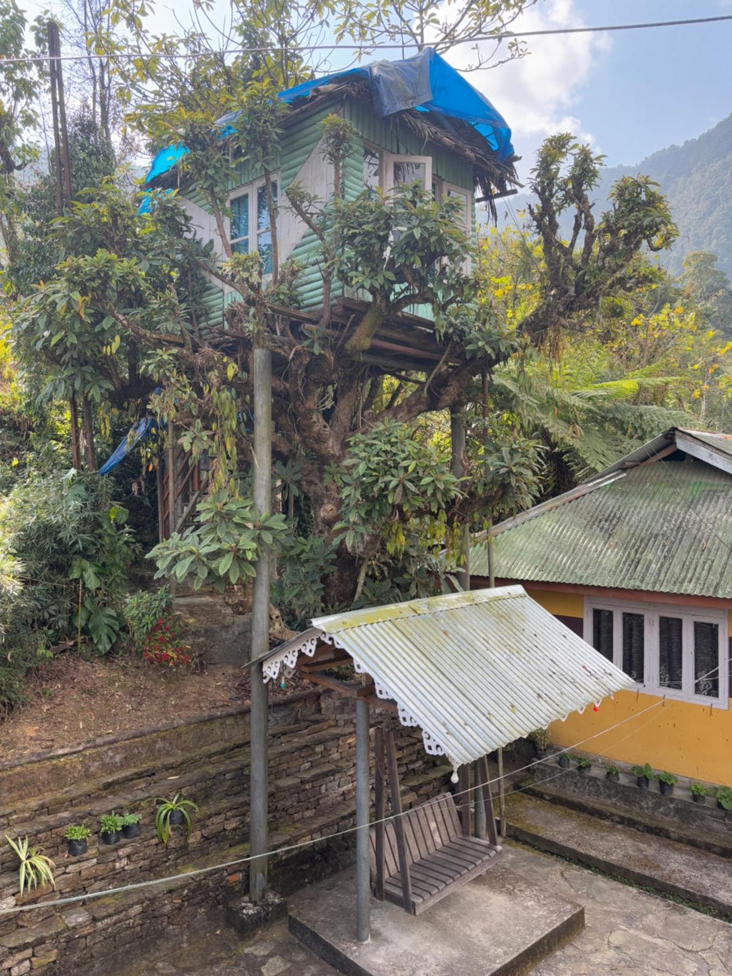 Homestay Odyssey's Darap Eco Retreat *