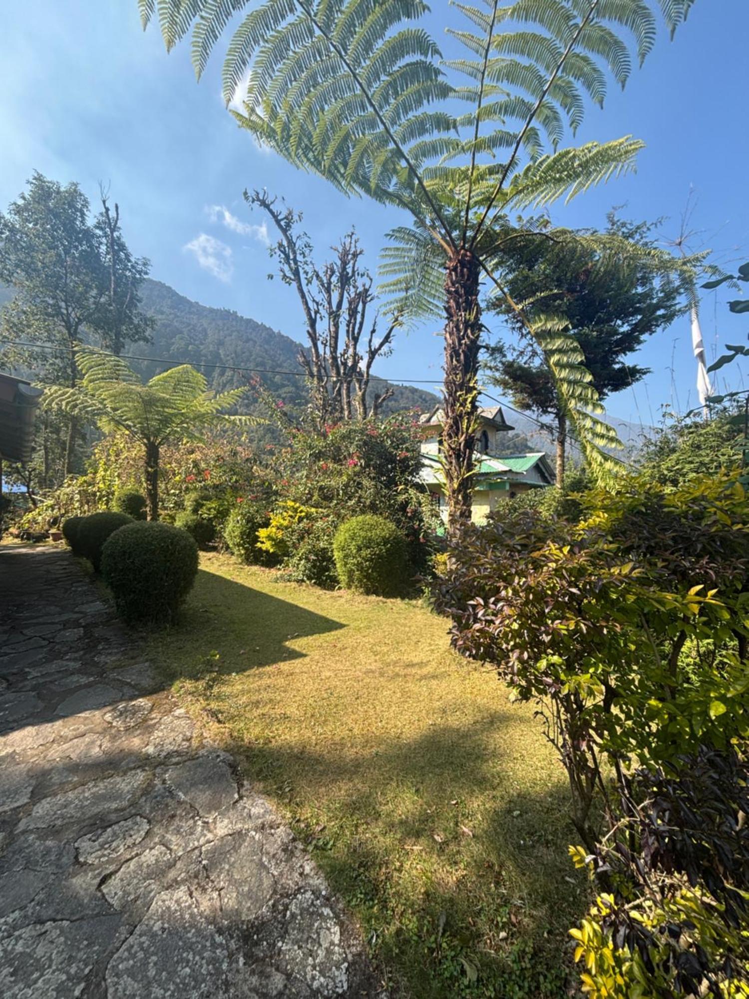 Odyssey's Darap Eco Retreat Homestay Pelling