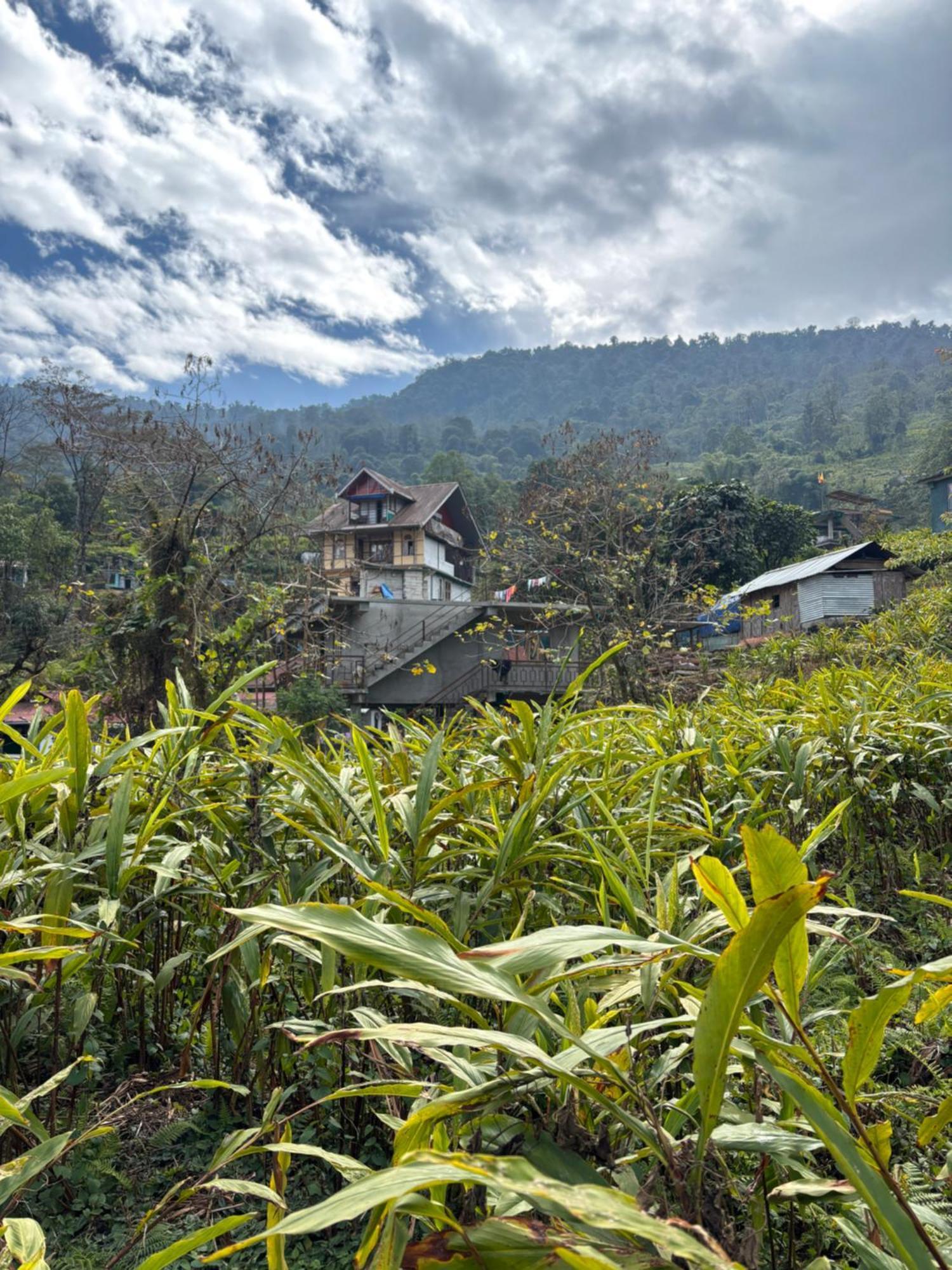 Odyssey's Darap Eco Retreat *