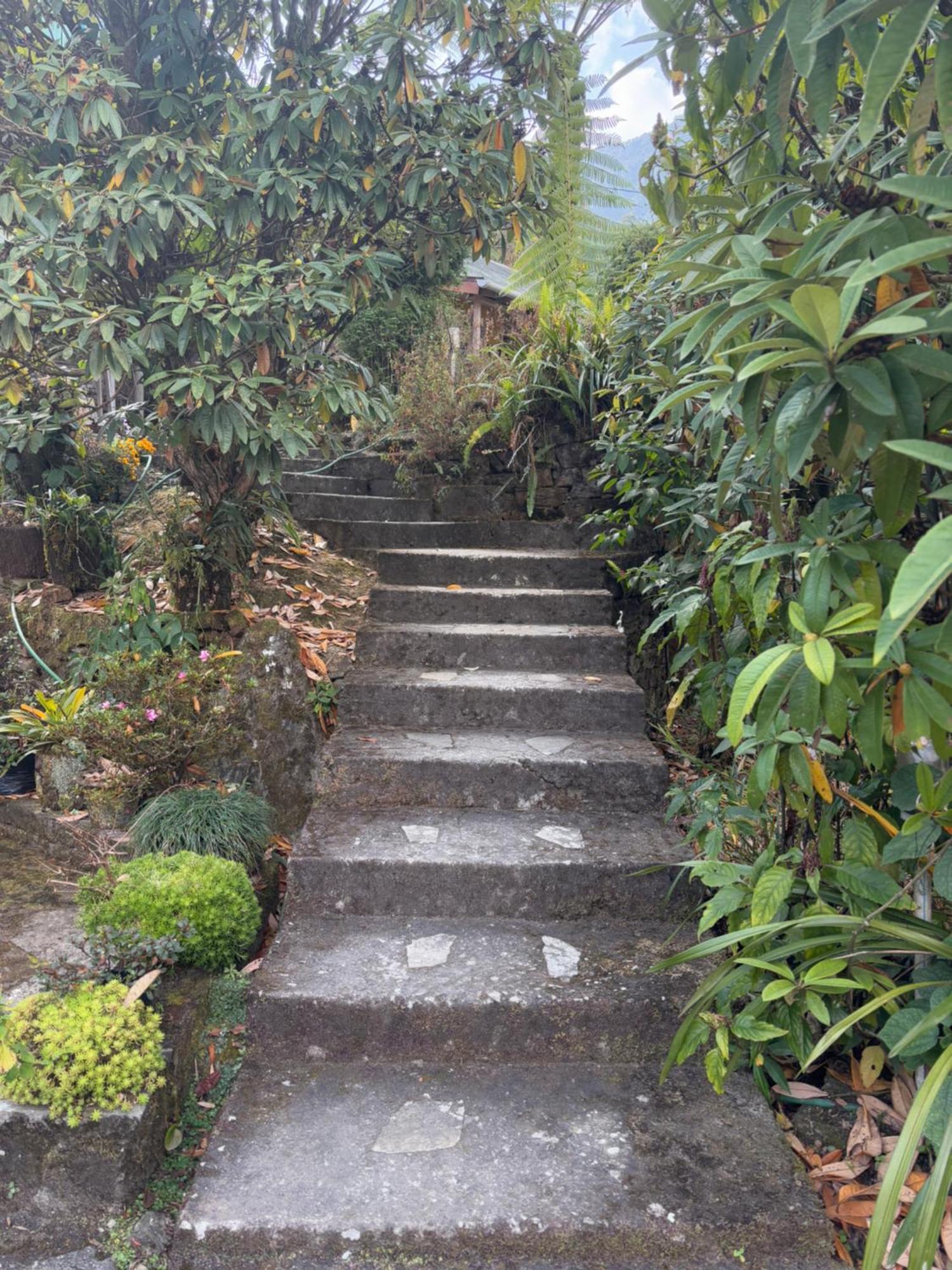 Odyssey's Darap Eco Retreat * Pelling