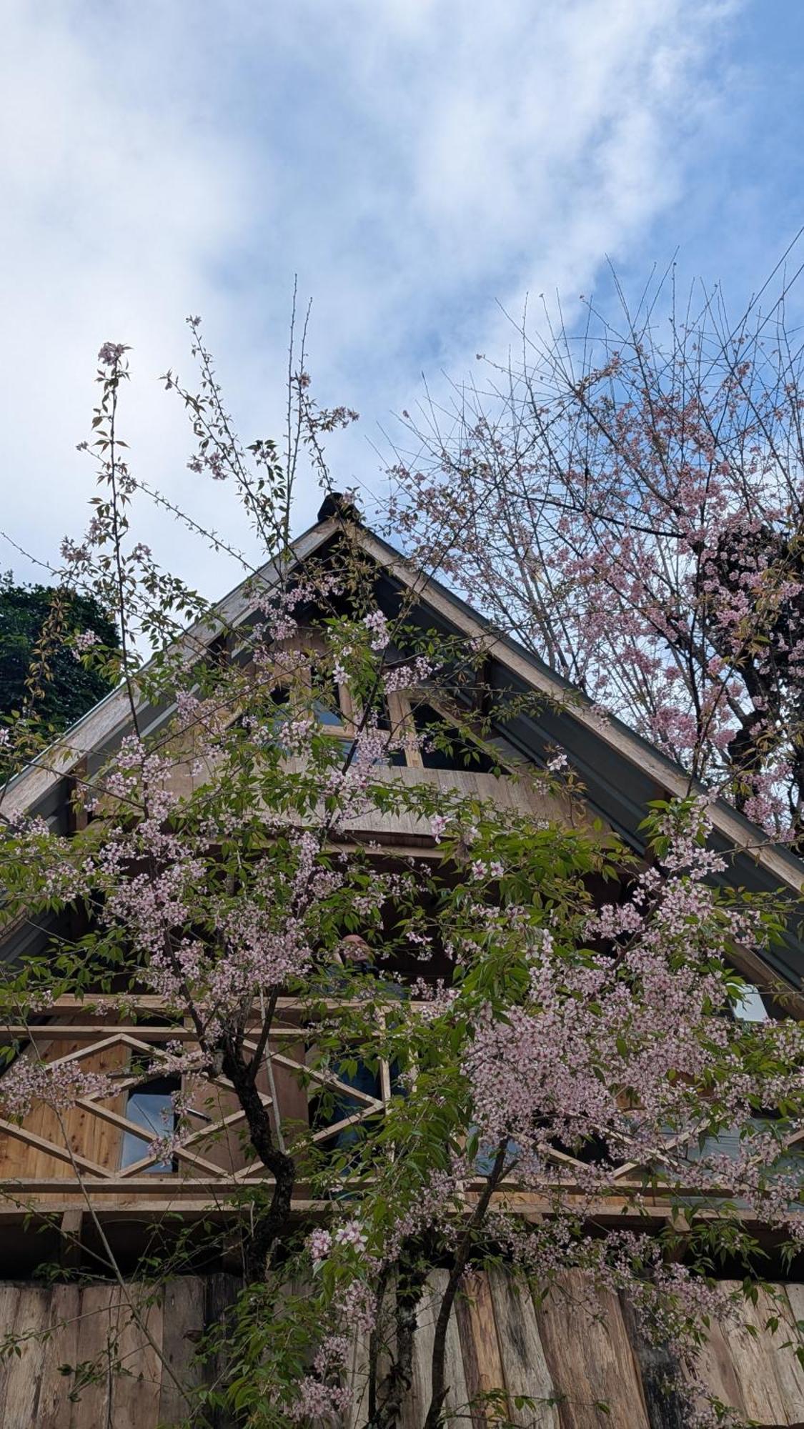 Country house Mochileros Cherry Tree House Pelling