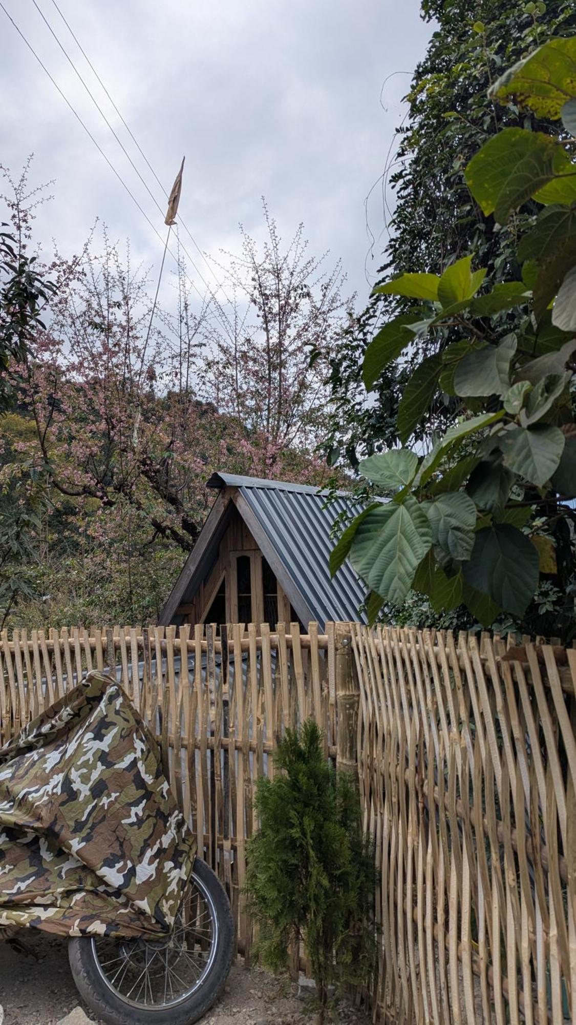 Mochileros Cherry Tree House *