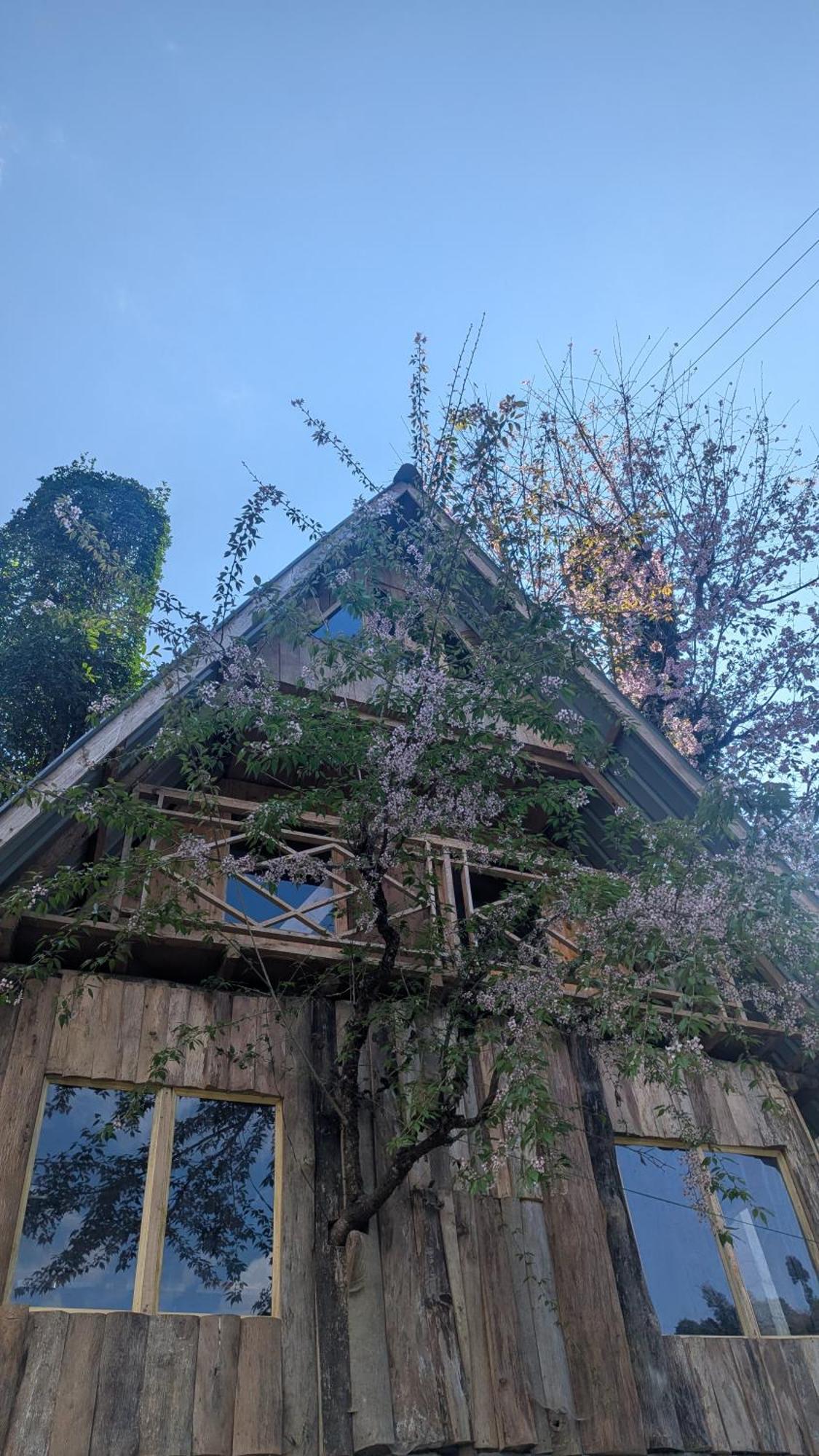 Mochileros Cherry Tree House Country house