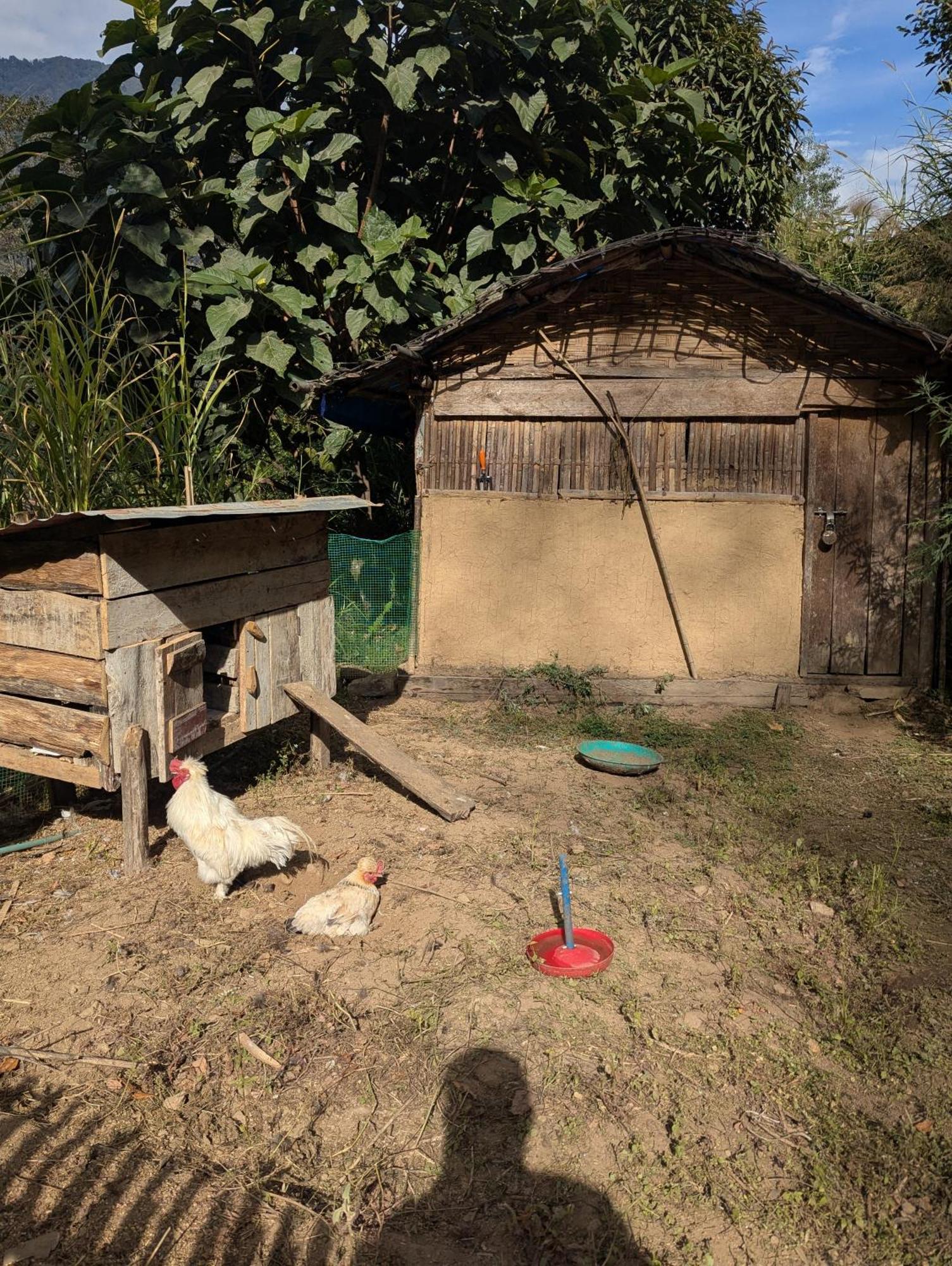 Mochileros Cherry Tree House Country house Pelling