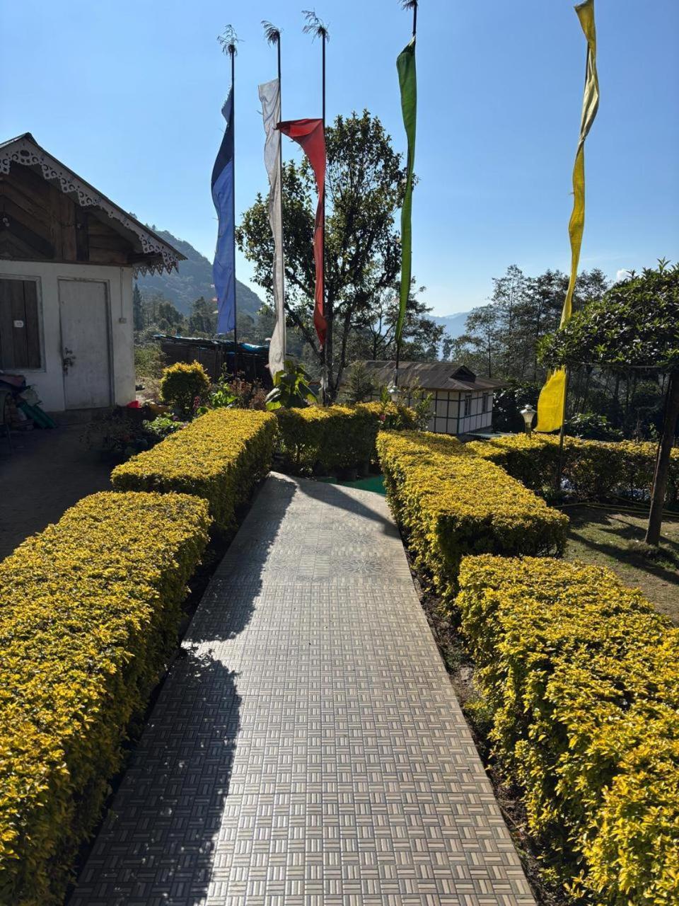 Bed & Breakfast Odyssey Yuksom *