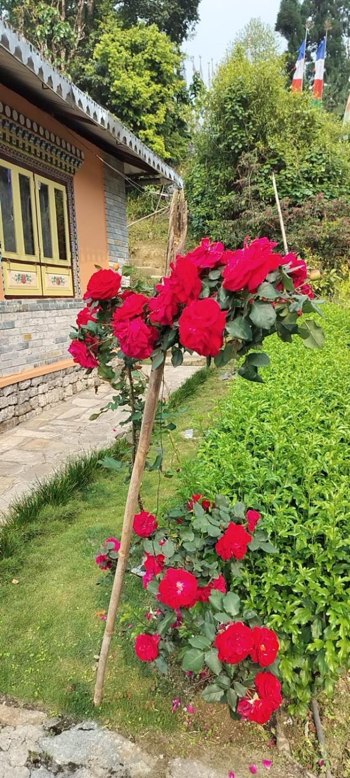 Lamthang Retreat Premium Hotel
