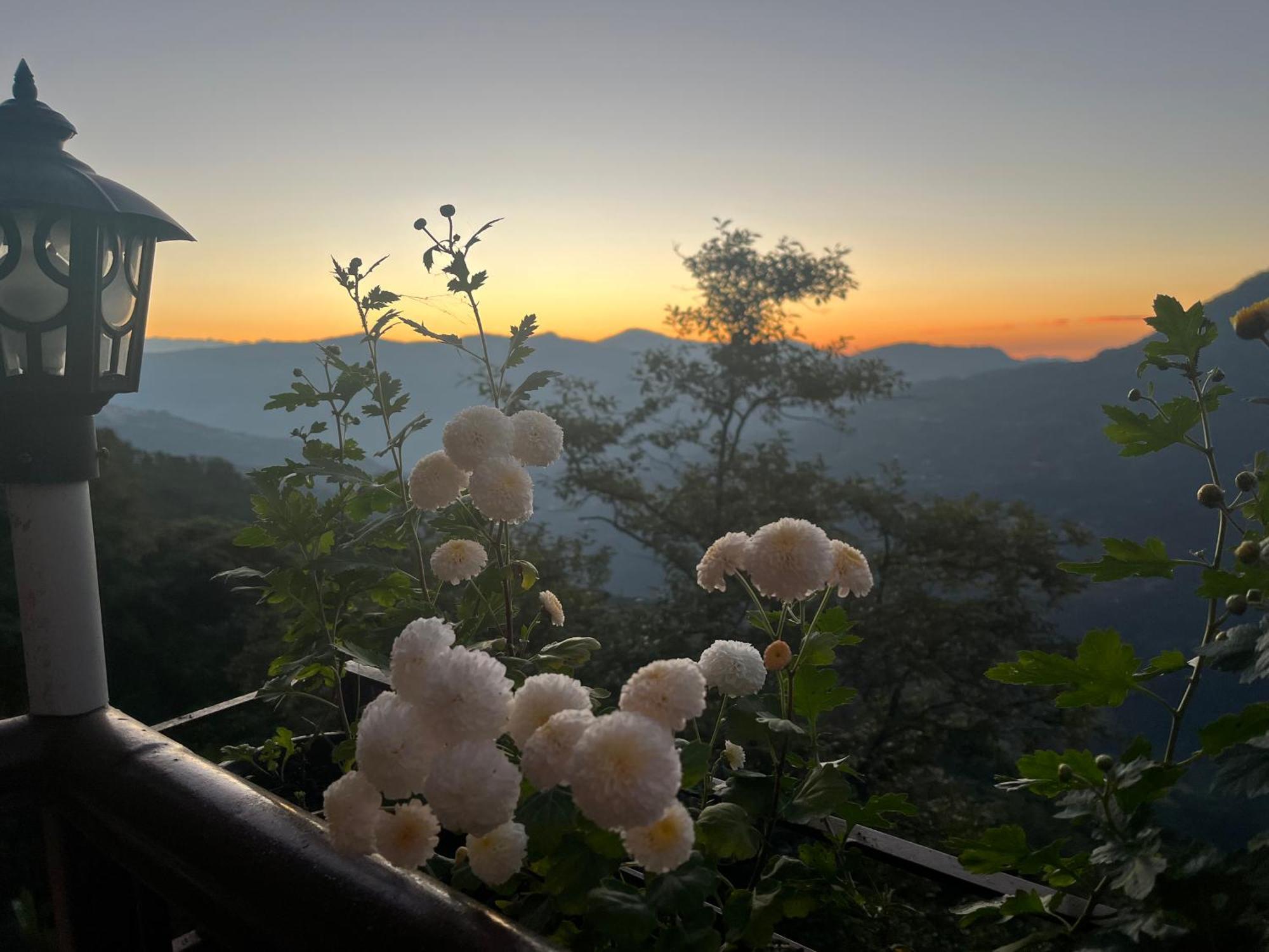 Homestay Sky View