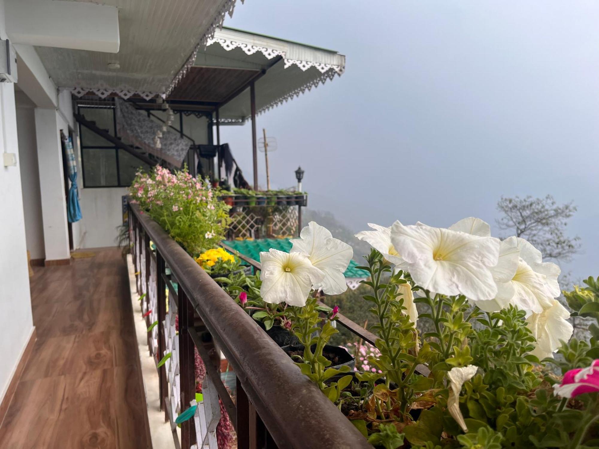 Sky View Pelling