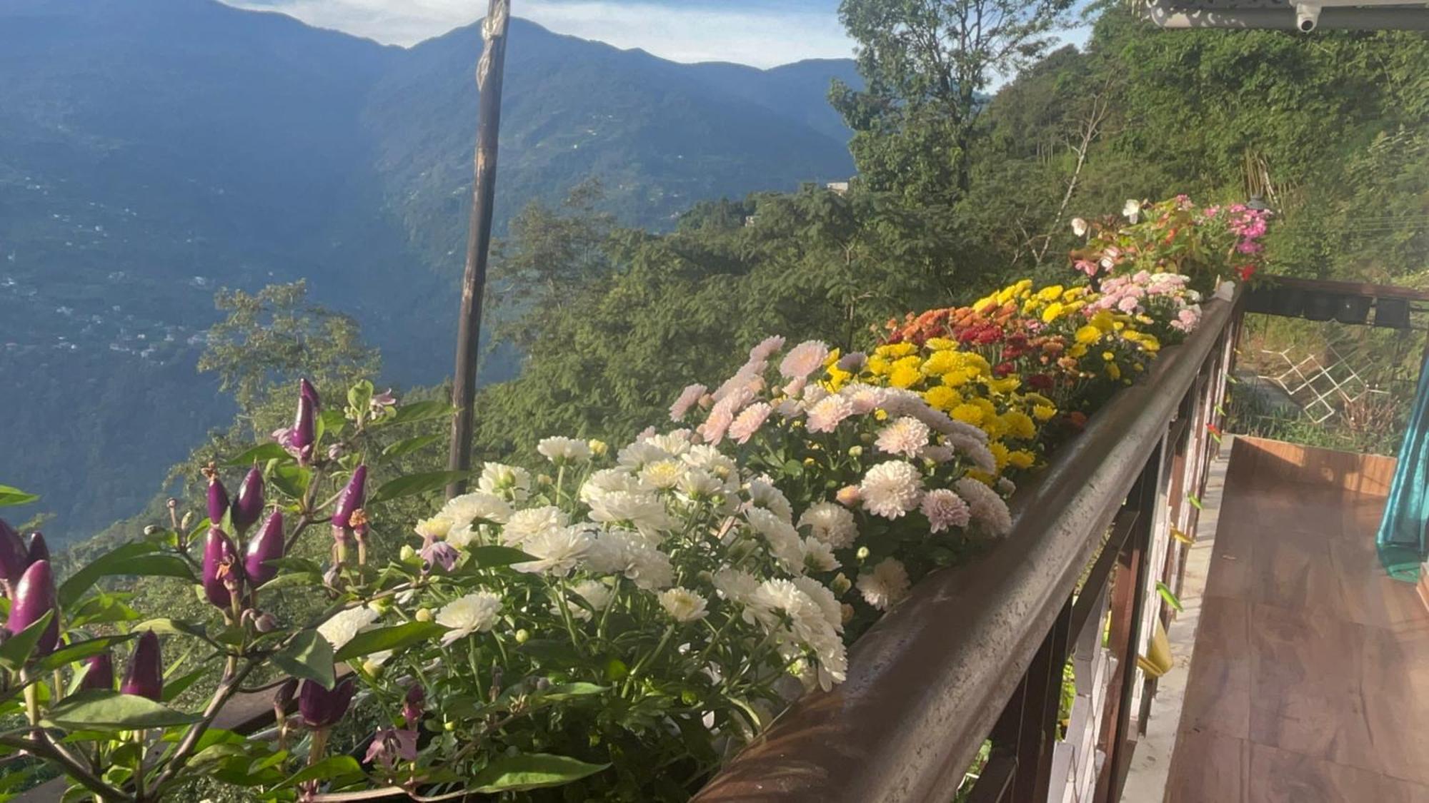 Sky View * Pelling