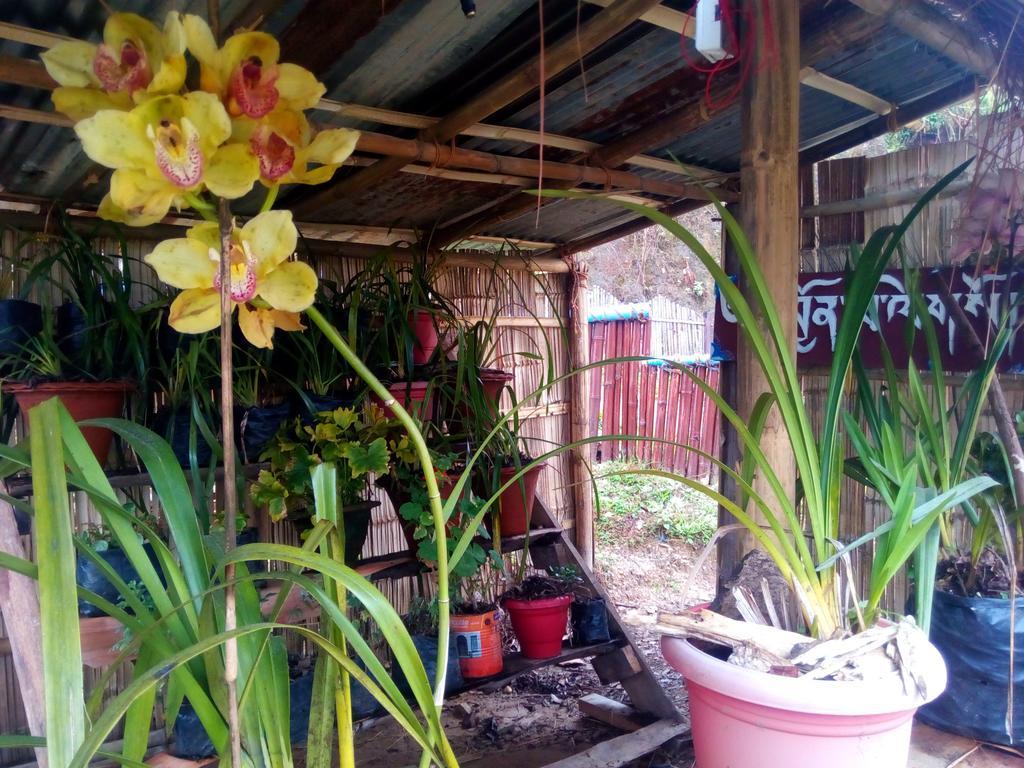 Khi Gha Thang Holiday park