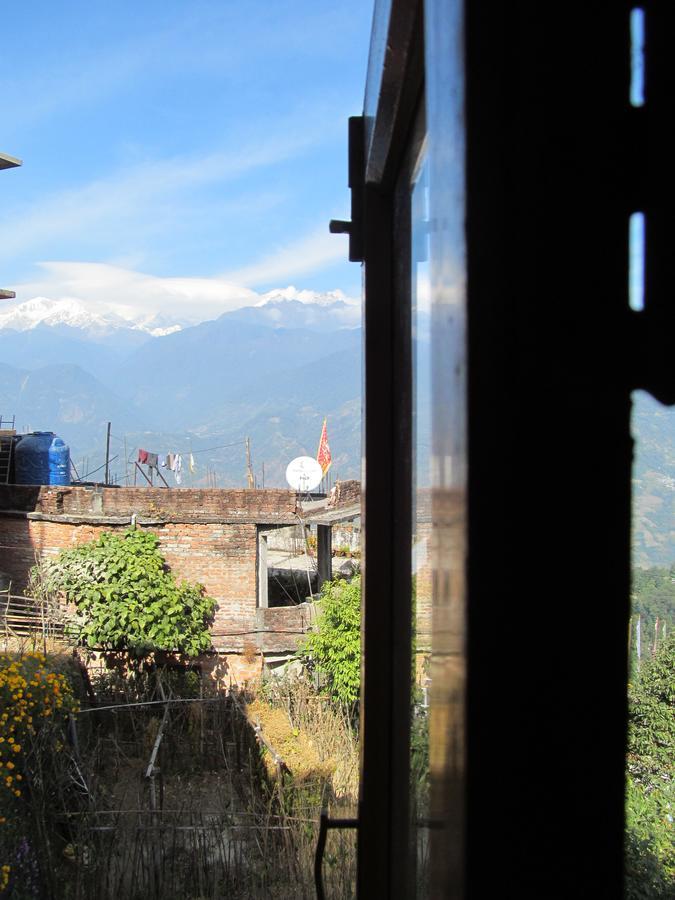 View Point