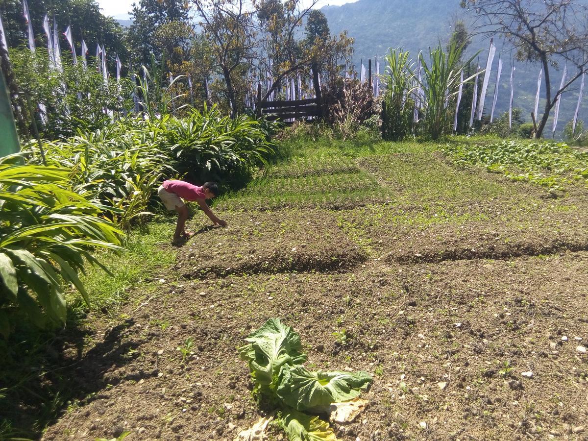 Martam * Pelling